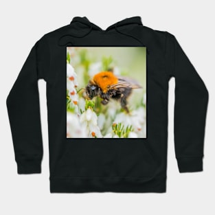 Tree Bumble Bee Hoodie